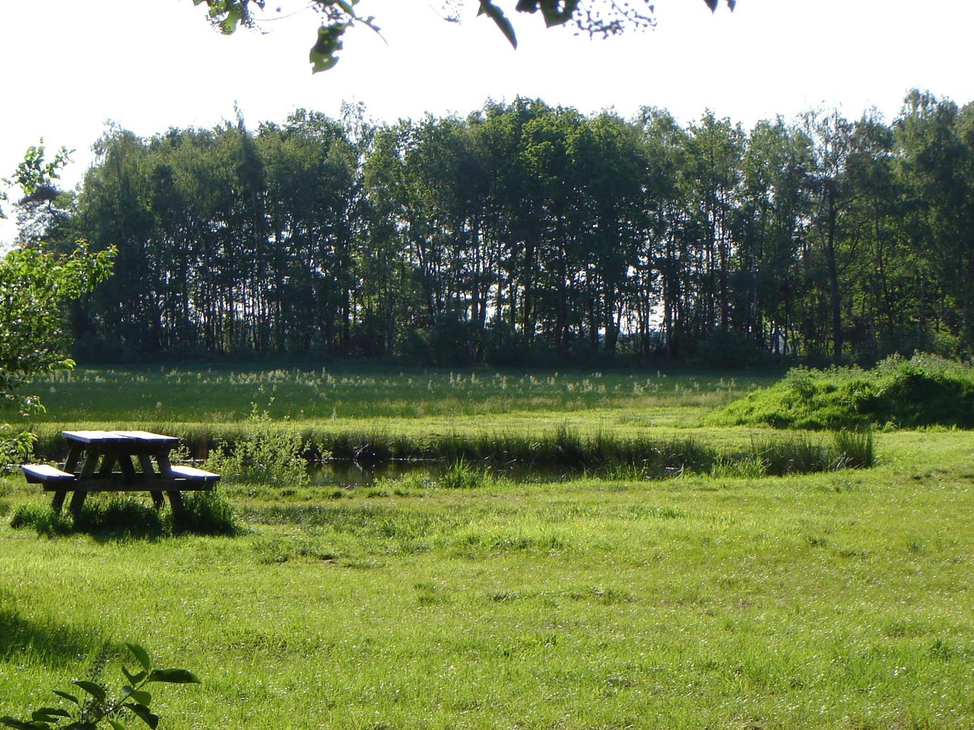 Bed En Breakfast De Boksloot Ravenswoud Exteriér fotografie